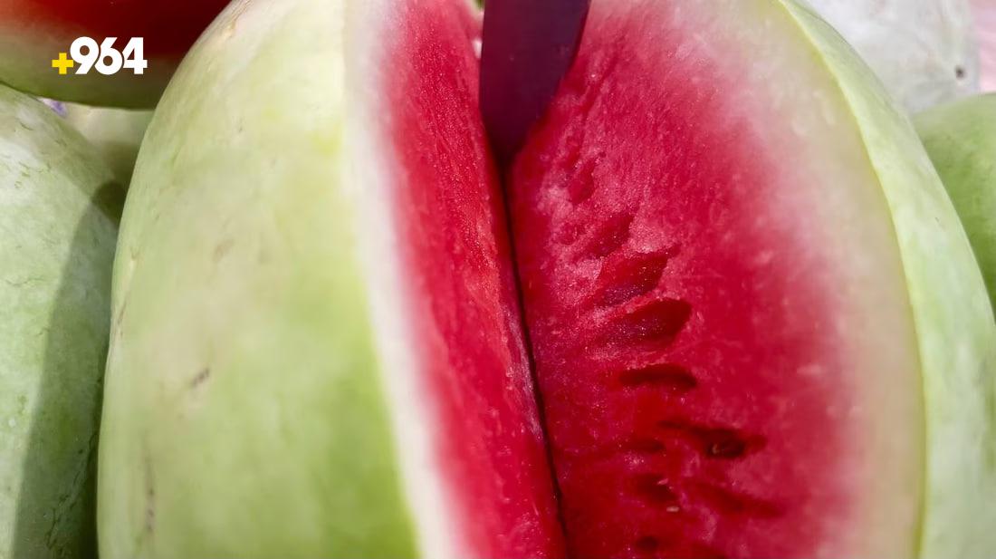 964mediaصورة من منصة (شبكة): 