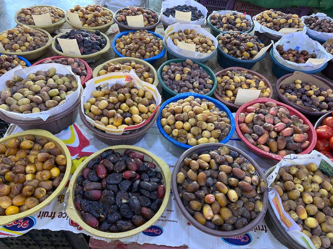 صور: “جمرة” كربلاء أغلى من “برحي” البصرة.. يباع جنوباً بـ3000 وسعر كركوك 9