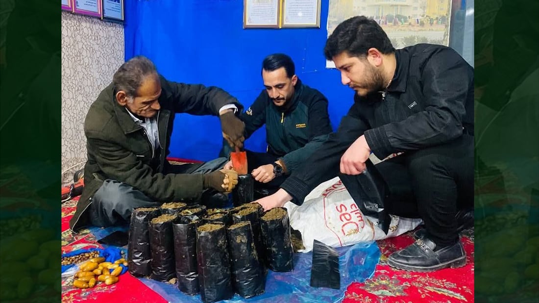 لە پشدەر رێکخراوێک نەمامگەیەک دروستدەکات ساڵانە زیاتر لە 5000 نەمام بەرهەمدەهێنێت