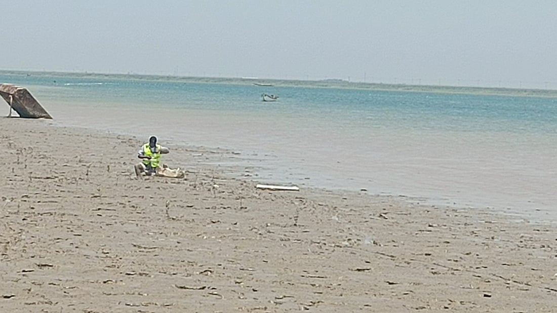مشاهد “تبشّر بخير” من ساحل العراق البحري.. البذرة الأولى لغابات المانجروف المنتظرة