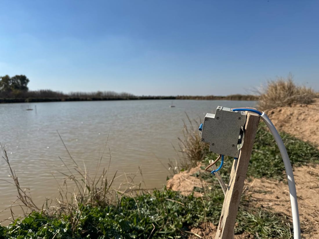 کارەبای حەوزە ماسییەکانی خانەقین بڕاوە و خاوەنەکانیان سەرگەردان بوون