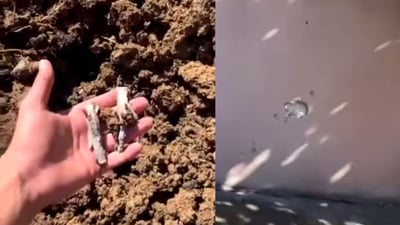 گوللـەتۆپێک لە باخچەی ماڵێکی گوندی گوهەرزێ کەوتەخوارەوە