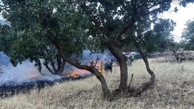 ئاگره‌كه‌ى قه‌ره‌داغ په‌رێز و پاوانى 10 گوندى سووتاند