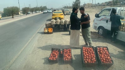 صور من أبو غريب: باعة الخضروات وزبائنها يفضّلون طريق “شيخ ضاري” على السوق