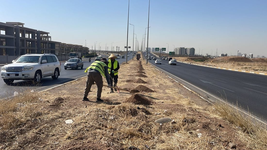 رێگای بەحرکە بە 1500 دار دەڕازێندرێتەوە