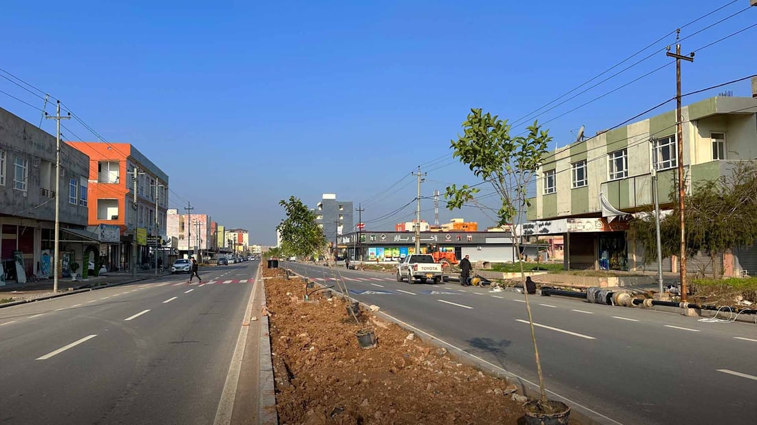 300 داری لانگستروم لە زاخۆ چێندرا