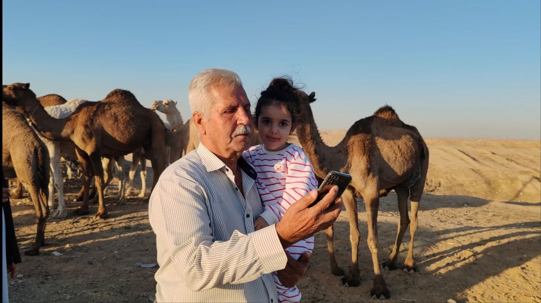 فيديو: البعران البيضاء الجميلة سرقت الأضواء في كركوك “وألبانها شفاء”