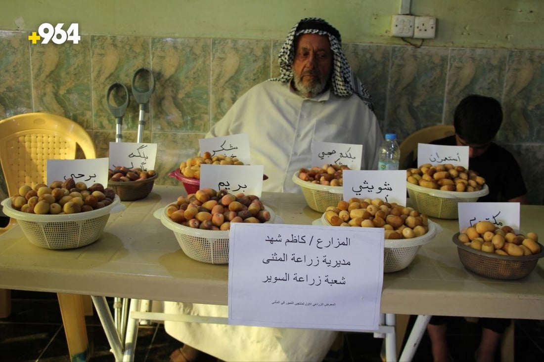 صور: مهرجان التمور في السماوة.. كل الأصناف تغار من “البلكة” وأم الدبس