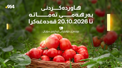هاوردەکردنی تەماتە لە دەرەوە قەدەغە کرا