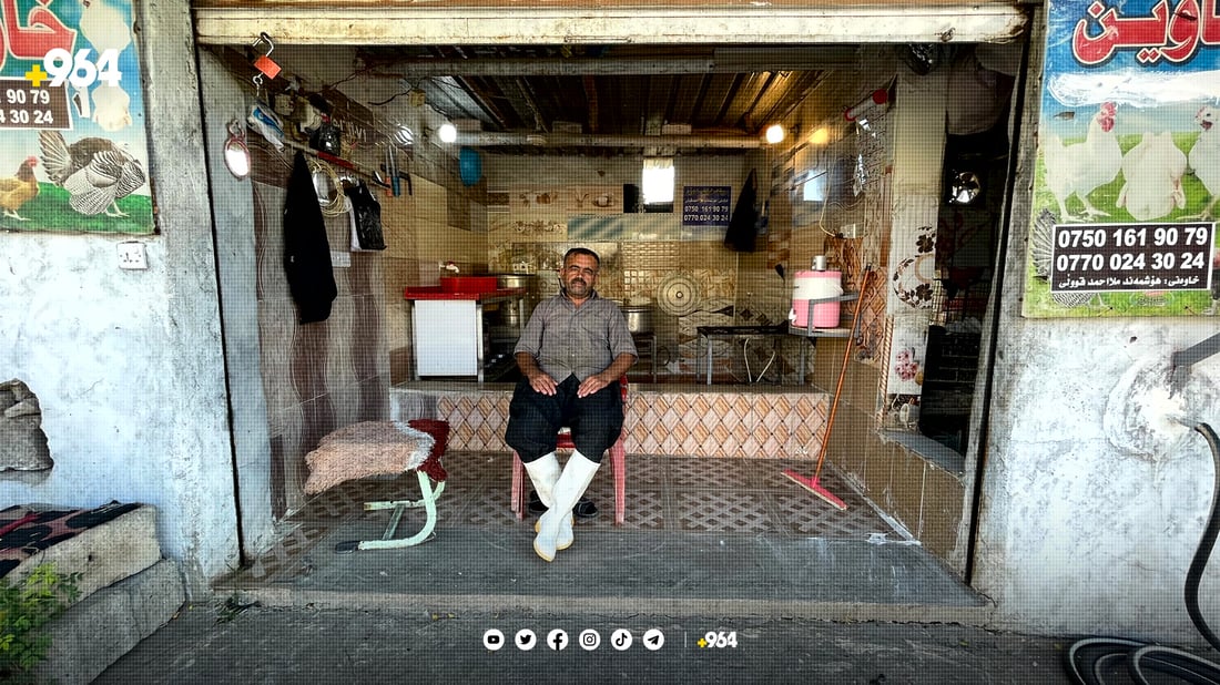 مریشکی “قلرخ” کێبڕکێی نرخی بازاڕ دەکات