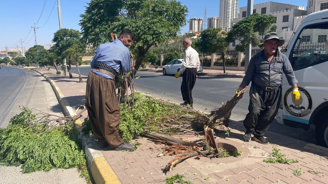 صور من عاصفة السليمانية المدمرة.. طرحت أشجار السبحبح أرضاً