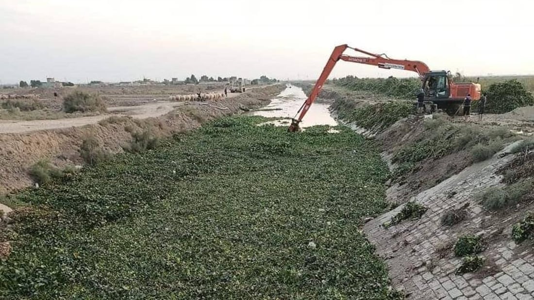 ظهور جديد لـ”زهرة النيل” في واسط.. والمزارعون: هذا آخر ما نحتاجه الآن!