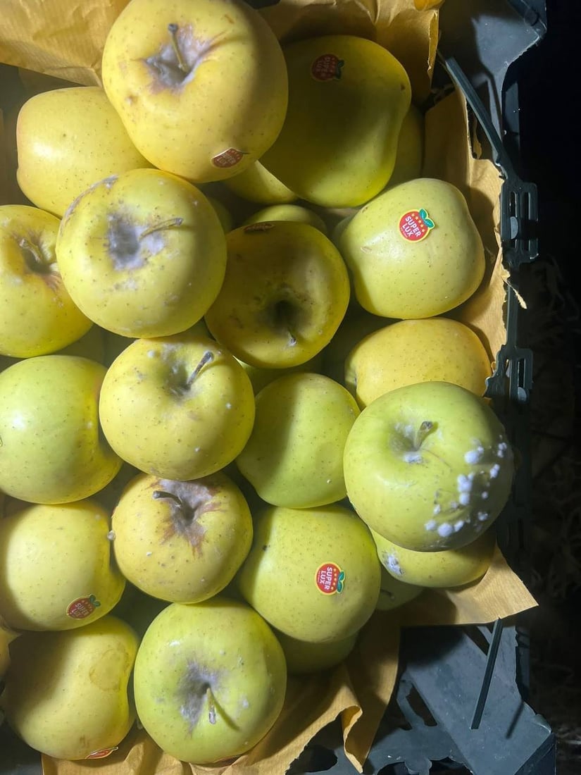 لە دەروازەی کێلێ 10 تۆن سێوی خراپبوو دەستى بەسەرداگیرا