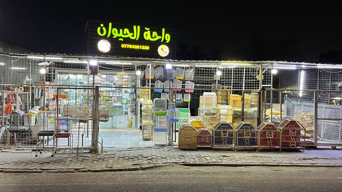 “تيرير” الفرنسي قد يكون أفضل كلب تبدأ معه رحلتك.. بيطري بغدادي