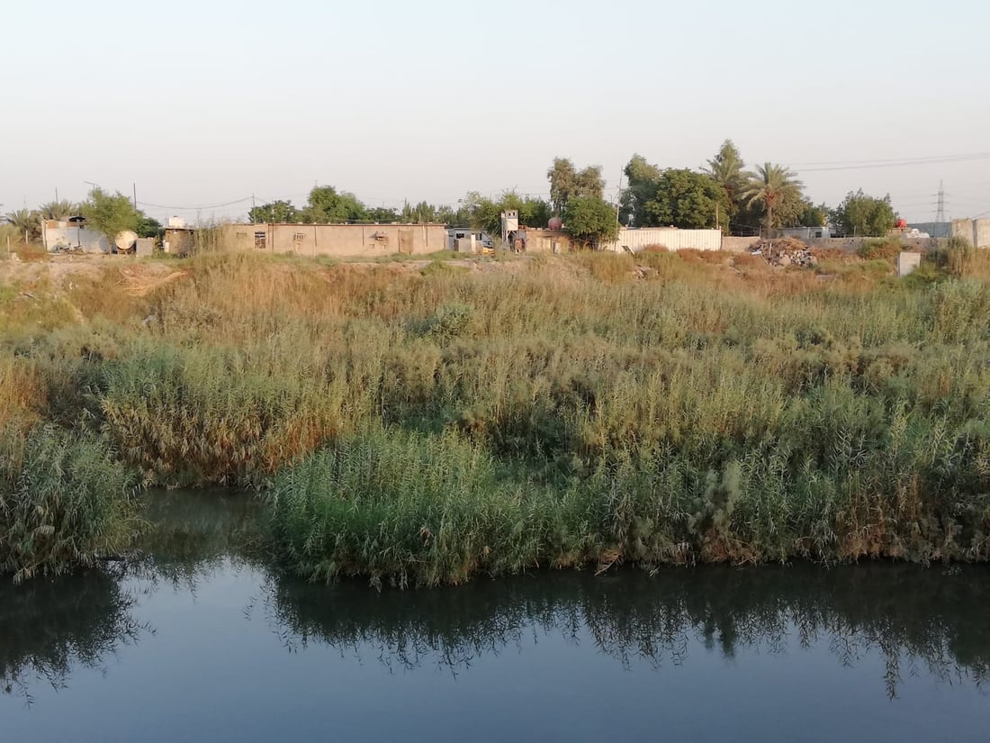 يجمع الخنازير والثعابين والعقارب.. صور من مبزل الولداية “المقلق” شرقي بغداد