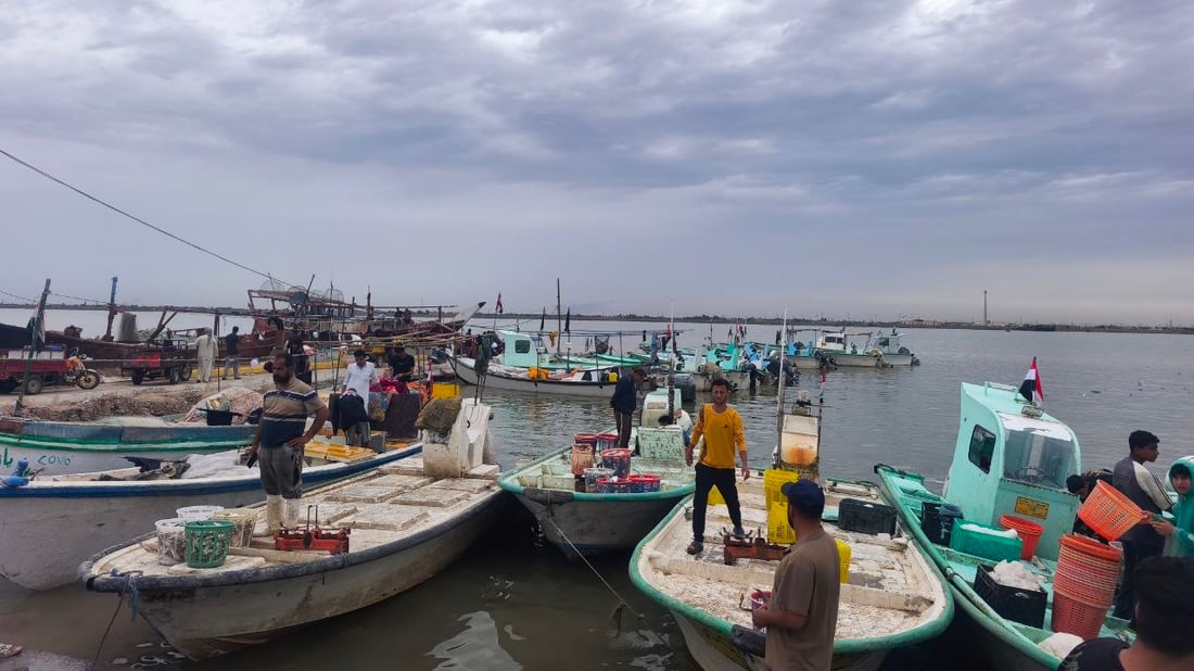 10 أطنان من الضلعة العملاقة.. أمطار وصيد وفير في بحر العراق (صور)