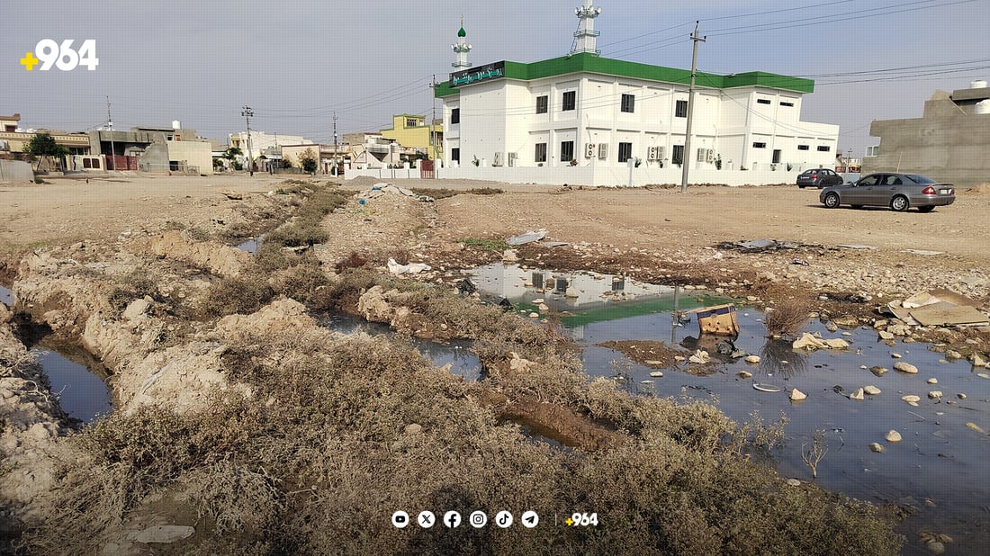 گەڕەکی سەنگاوییەکان لە زستان و لە هاویندا لەخۆیان بێزارن