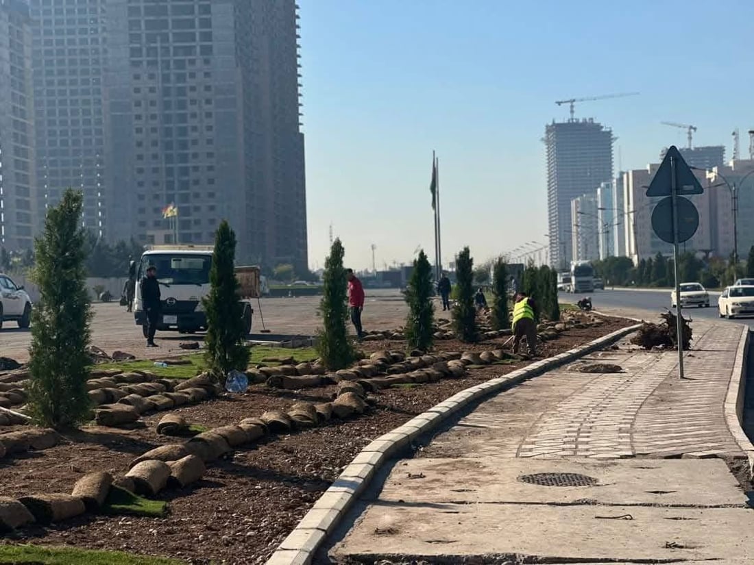 200 مەتر فریز لە بلواری نێوان شەقامەکان دەچێندرێت