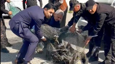 لە هەولێر 1000 ریشۆڵە گەڕێندرانەوە بۆ ناو سروشت