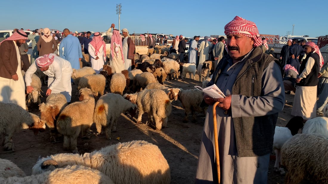 Eid al-Adha livestock prices surge in Nineveh market despite border reopening