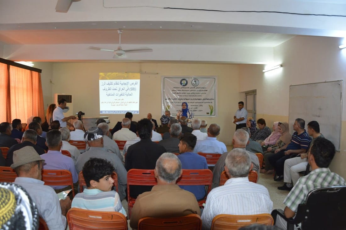 رێگەی چڕی فێری ئەو جوتیارانە کرا کە برنج دەچێنن