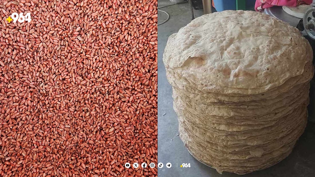 گەنمە سوورەکەی دروێنە نانێکی سپی لێ بەرهەم هات