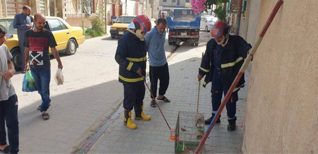 (صور) نجفي يستغيث بالدفاع المدني بعد قيام أفعى بالتهام طيوره