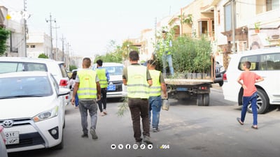 بە هەزاران دار بەسەر گەڕەکەکانی هەولێر دابەشدەکرێن