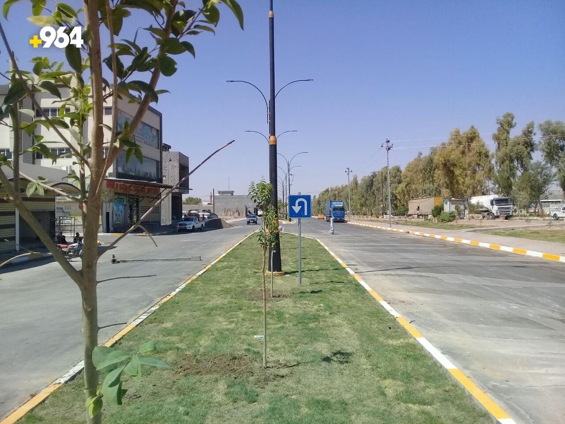 شجرة “جاكرندا” الرائعة قريباً في جزرات آلتون كوبري.. بدأت الزراعة (صور)