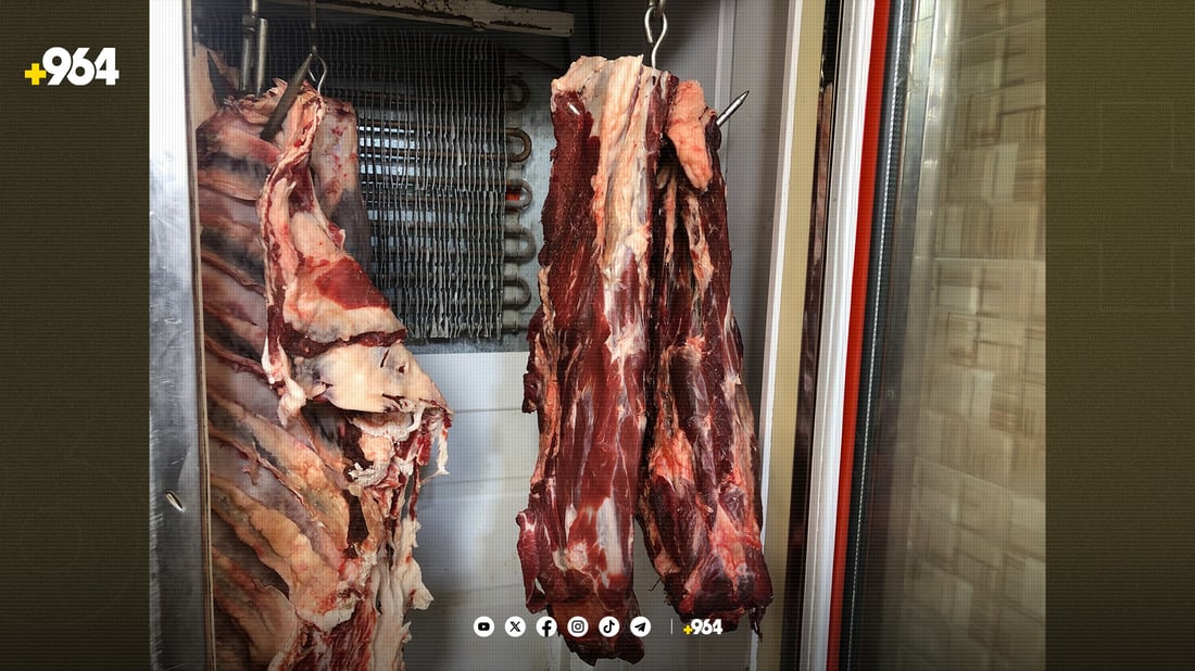 پێنجوێن؛ لەبری پیکاب و ماتۆڕ بەڕاد بۆ گواستنەوەی گۆشت دانرا