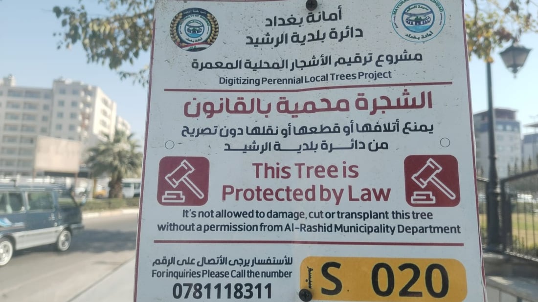 صور: تعليق عبارة “محمية بموجب القانون” على أشجار بغداد في السيدية والبياع