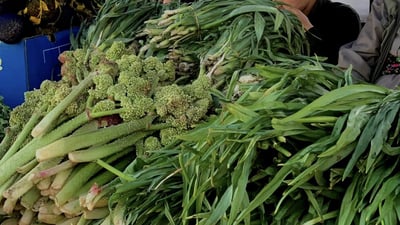 خۆبەخشێكی ژینگه‌یی له‌ سیده‌كان رێنمایی بۆ ئه‌و هاوڵاتیانه‌ بڵاوده‌كاته‌وه‌ كه‌ ده‌چنه‌ كوێستانه‌كان