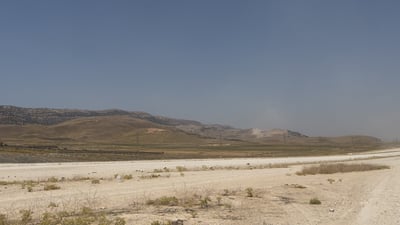 دوای هەفتەیەک 964 هۆکاری مرداربوونەوەی ئاژەڵەکانی شەقامی 100 مەتری ئاشکرا دەکات