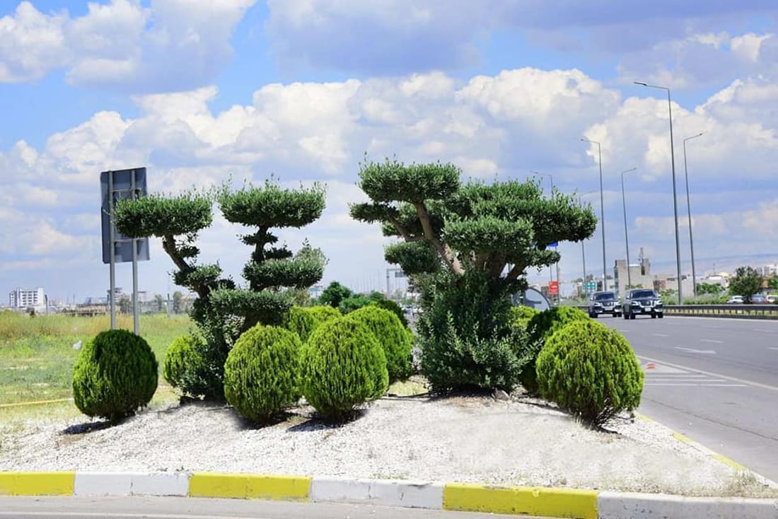 77 هەزار و 389 گوڵ و دار چێندراون