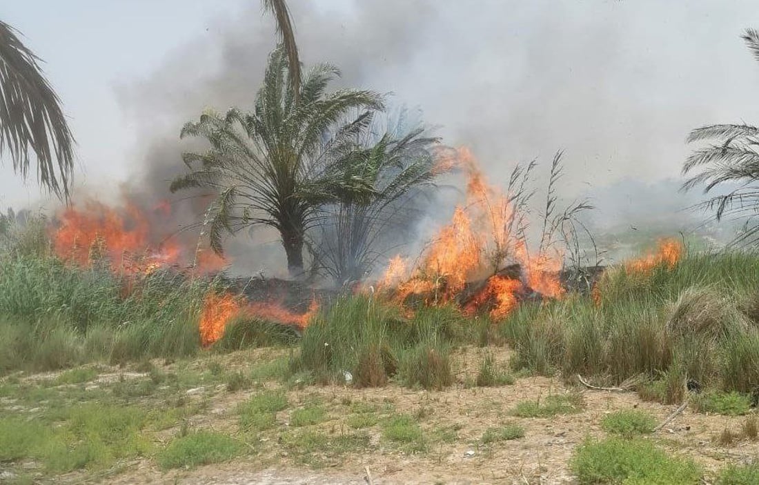 صور من الوركاء: احتراق 400 نخلة في لحظة.. محاولات ثلاثة فرق إطفاء بلا جدوى