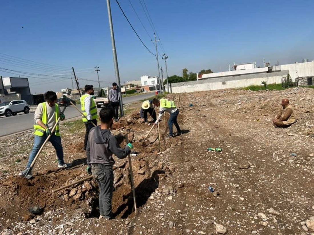 شەقامێكی بنەسڵاوە بە 60 دار سەوز كرا