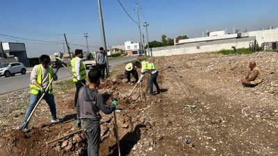 شەقامێكی بنەسڵاوە بە 60 دار سەوز كرا