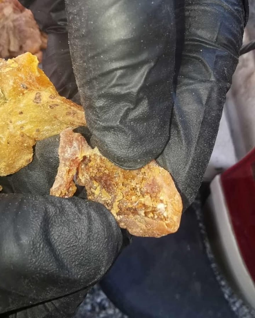 لە هەڵەبجە 200 کیلۆ قەیسی خراپبوو دەستی بەسەرداگیرا و لەناوبرا