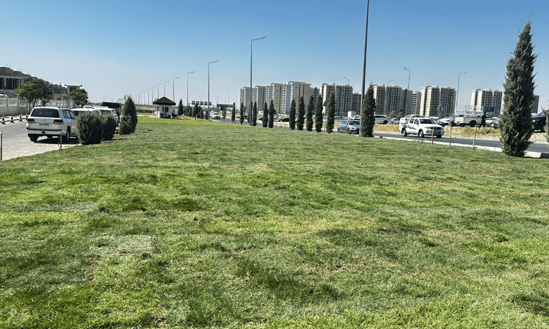 3000 مەتر لەبەردەم هاتوچۆی هەولێر سەوز کرا