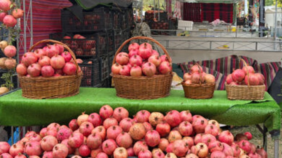 Halabja pomegranate festival opens with 502 stalls
