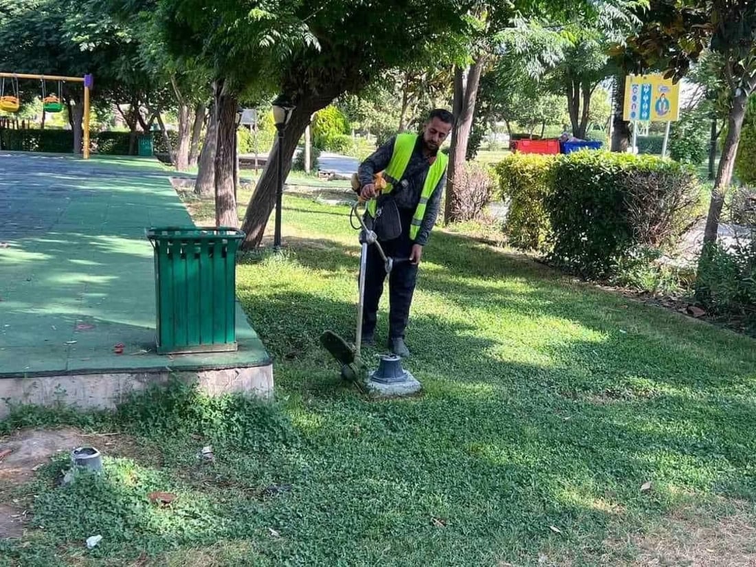   گوڵ و نەمامەكانی شەقامەكانی هەولێر هەڵپاچران