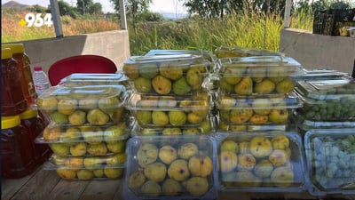 Farmers in Koya face low prices due to lack of cold storage facilities