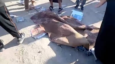 وه‌زاره‌تی په‌روه‌رده‌ و پارێزگای به‌سڕه‌ و سێ رۆژ پرسه‌یان راگه‌یاند