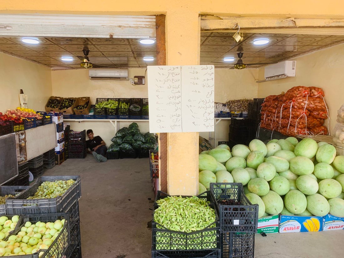 بغداد تنتظر خيرات ربيعة.. البامية إلى 3 آلاف لكنها ستتأخر قليلاً هذا العام (صور)