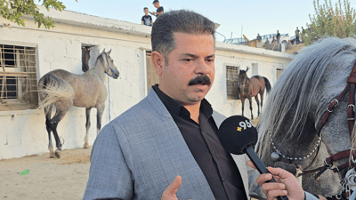 ئەسپی رەسەنی کوردی؛ سوارچاکێک باسی تایبەتمەندییەکانی دەکات