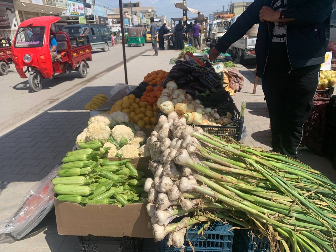 أبو غريب: ارتفاع أسعار محصولي البصل والثوم مع بدء موسم حصاد المحلي منهما