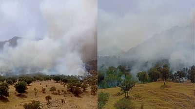 ئاگر لە سروشت و شاخەکانی قەرەداغ کەوتووەوە