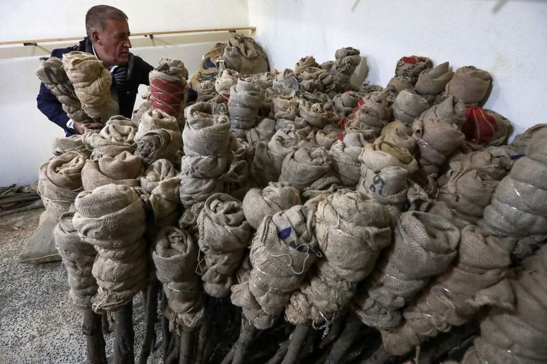 هۆشداری دەدرێت لە بڕینی دار بۆ کردنەوەی ئاگری نەورۆزی ئەمساڵ