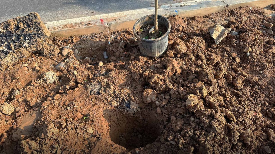 300 داری لانگستروم لە زاخۆ چێندرا