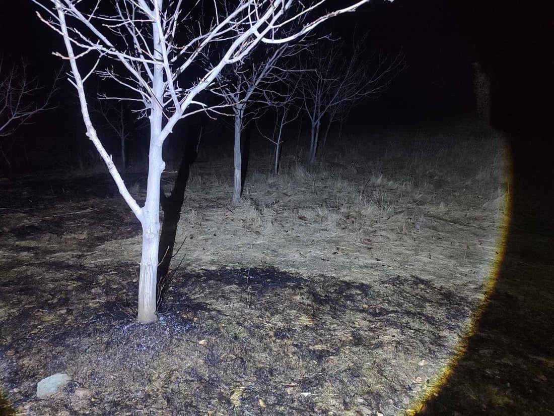 نزیكەی 20 دۆنم دار و پووش سووتا